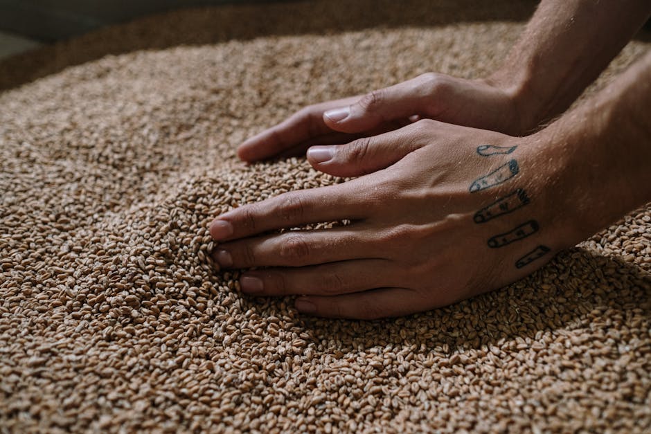 Grains d'orge malté dans une coupelle en céramique